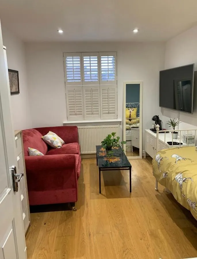 Stylish Modern Studio, Mock Georgian House, Heart Of Trendy Hackney & London Homestay